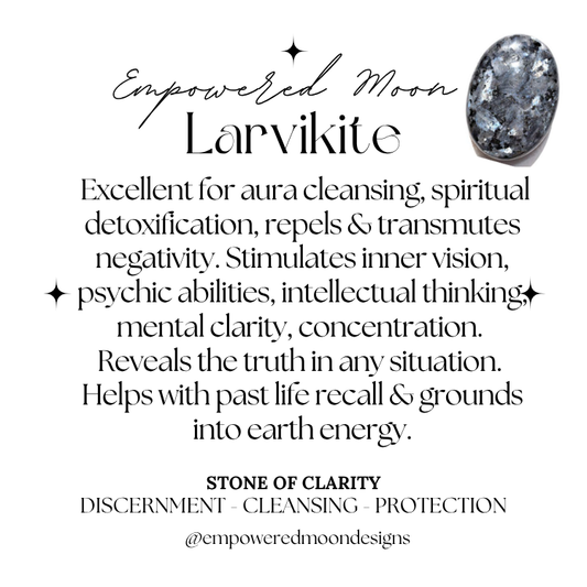 LARVIKITE MUSHROOM EARRINGS