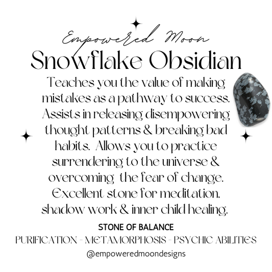 SNOWFLAKE OBSIDIAN EARRINGS